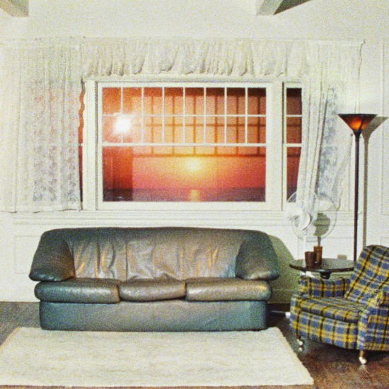 Wallows - Model (Vinyl) Wallows - Model (Vinyl)