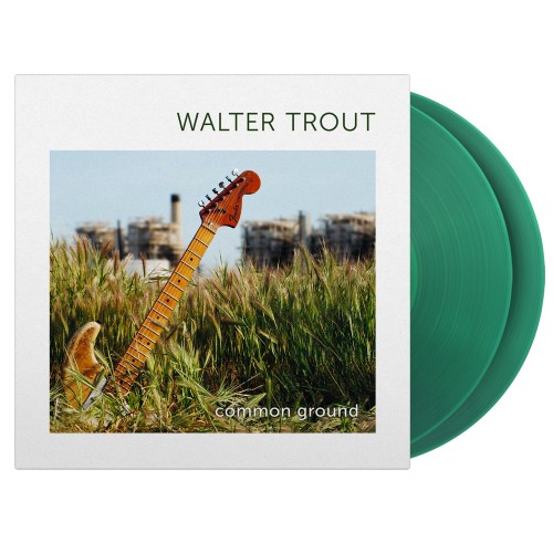 Walter Trout - Common Ground (Vinyl)