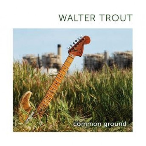 Walter Trout ‎– Common Ground (Vinyl)